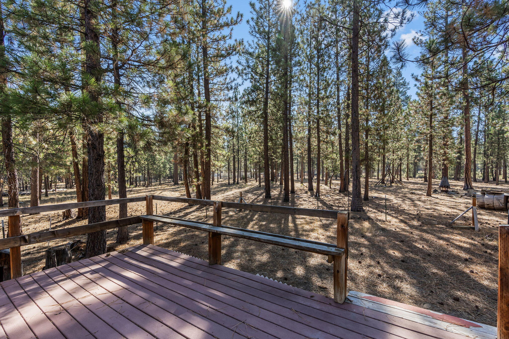 Ponderosa Pines - Residential