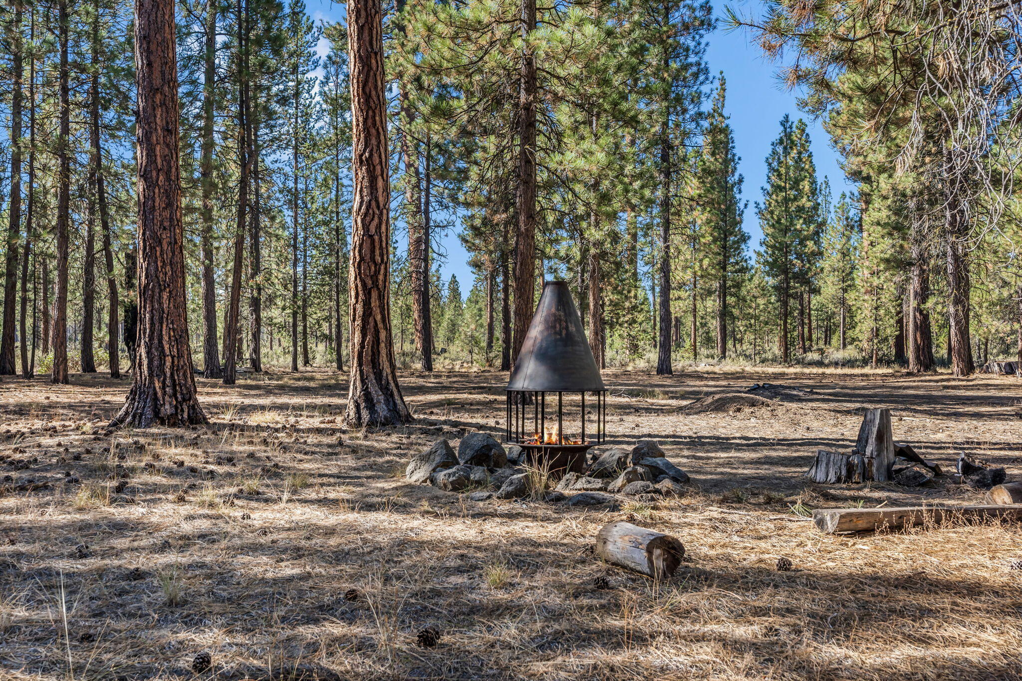 Ponderosa Pines - Residential
