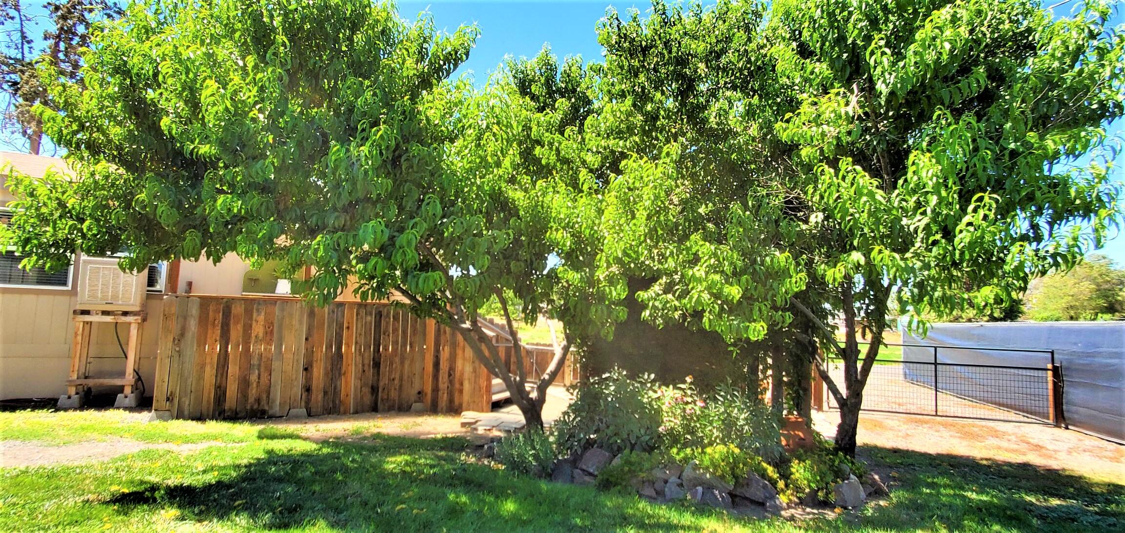 Conestoga Park - Residential