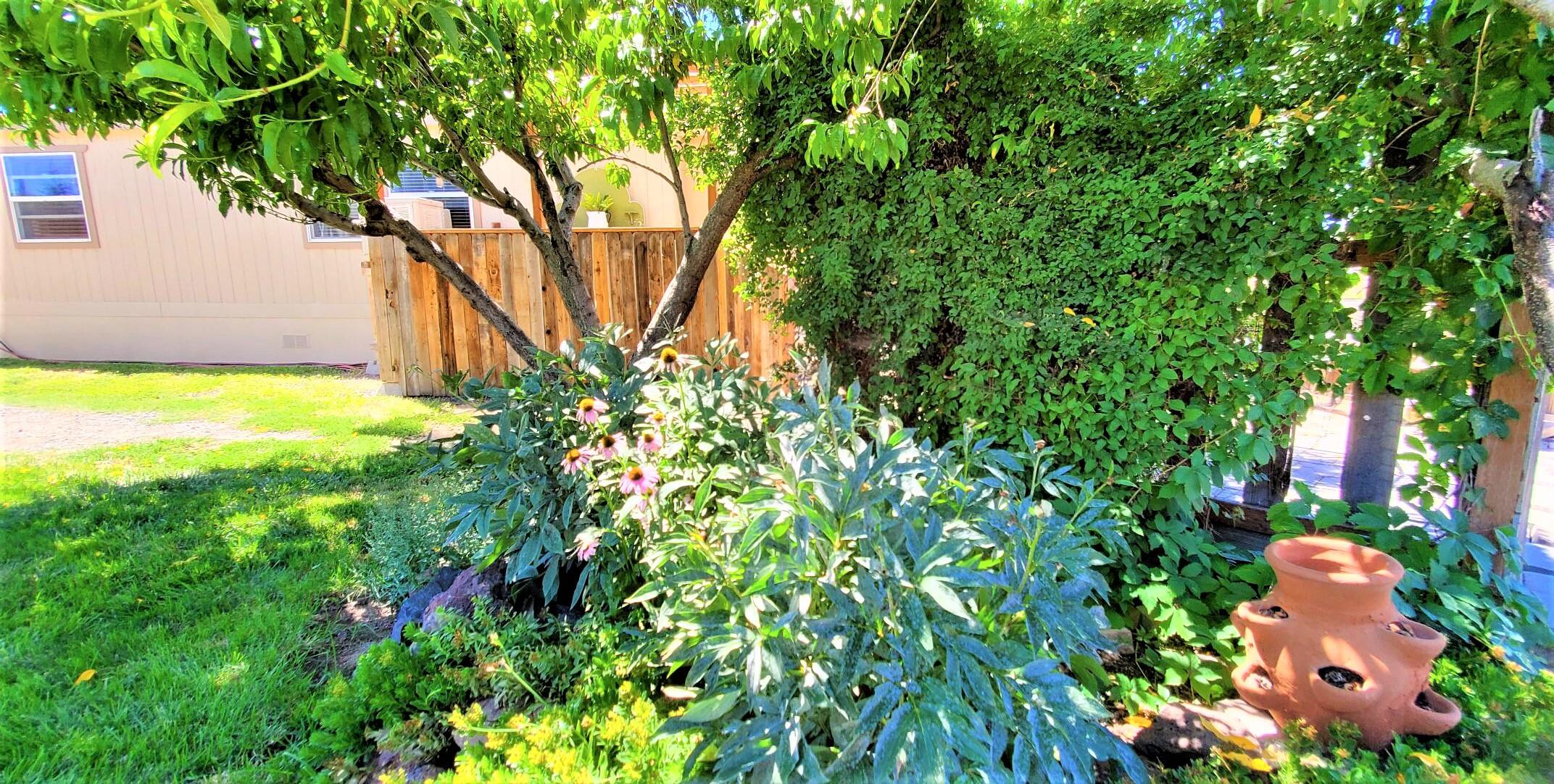 Conestoga Park - Residential