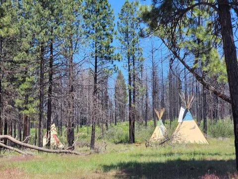 Tiny photo for 41837 Highway 62, Chiloquin, OR 97624 (MLS # 220212559)