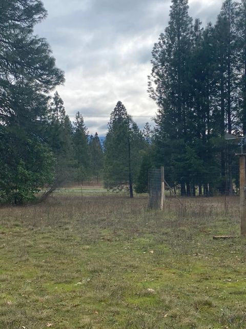Tiny photo for 282 Reagor Lane, Cave Junction, OR 97523 (MLS # 220215397)
