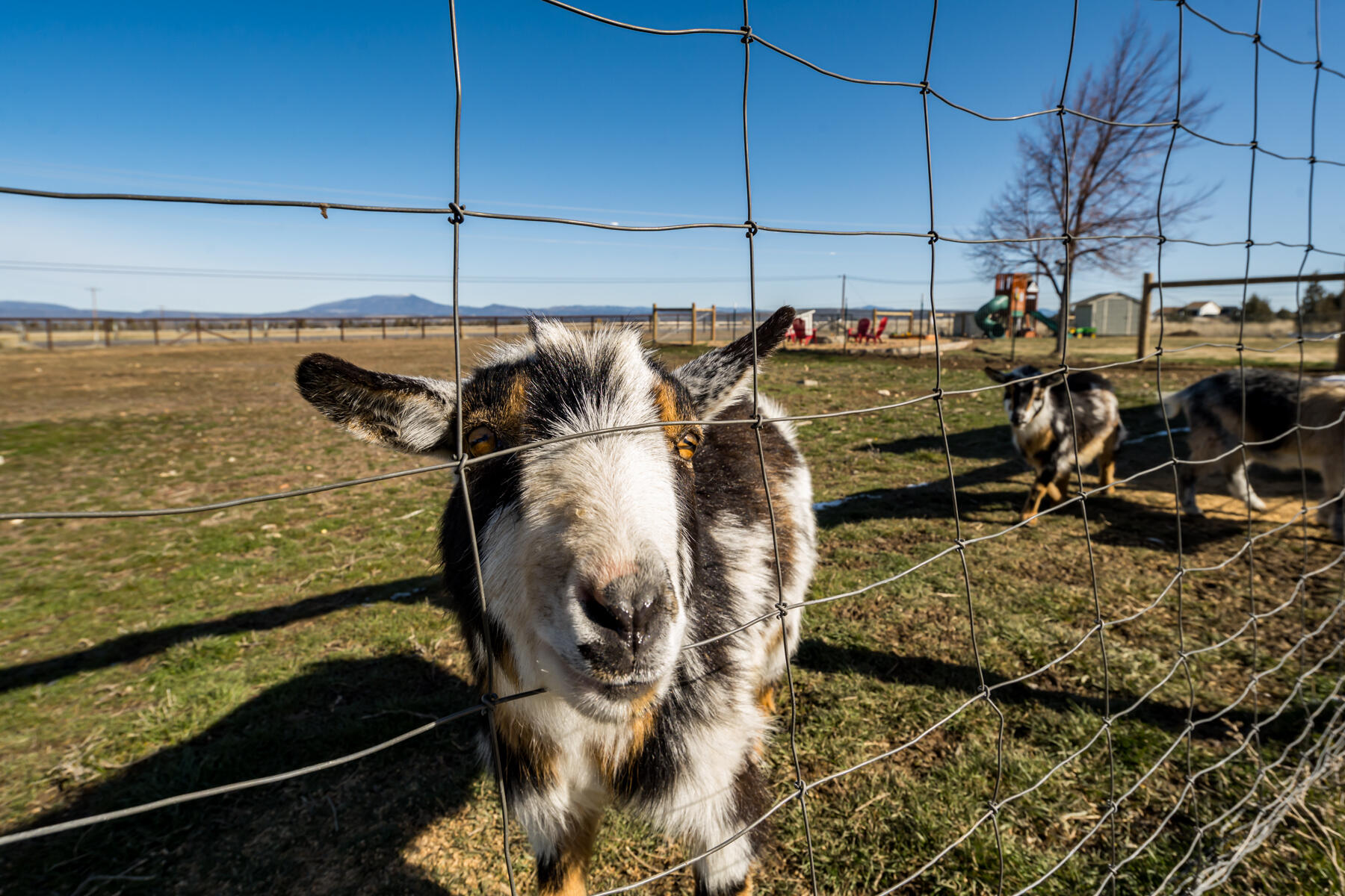 Red Cloud Ranch - Residential