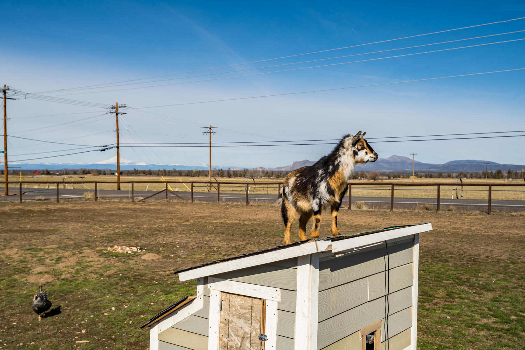 Red Cloud Ranch - Residential