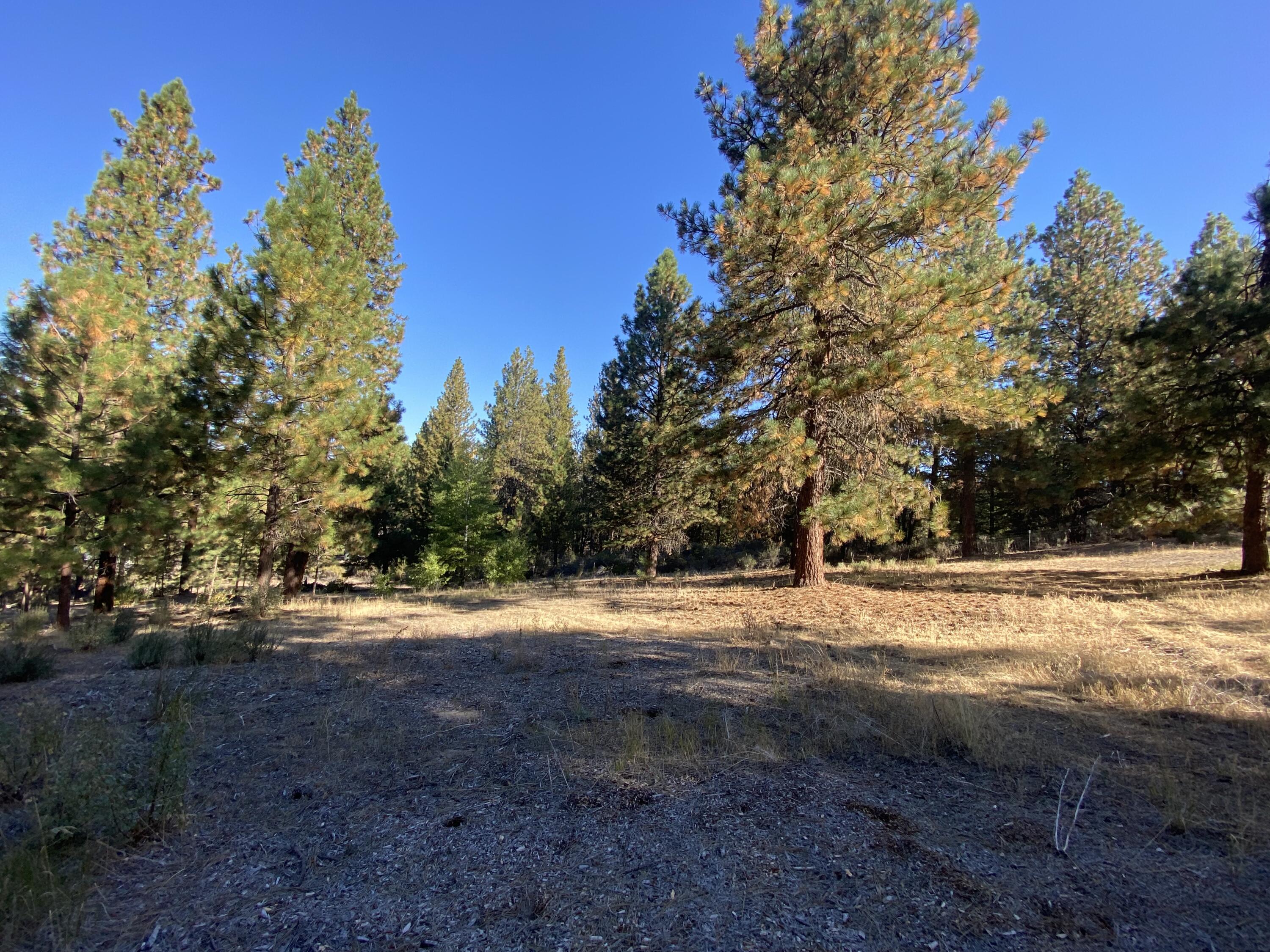 Winema Peninsula - Residential