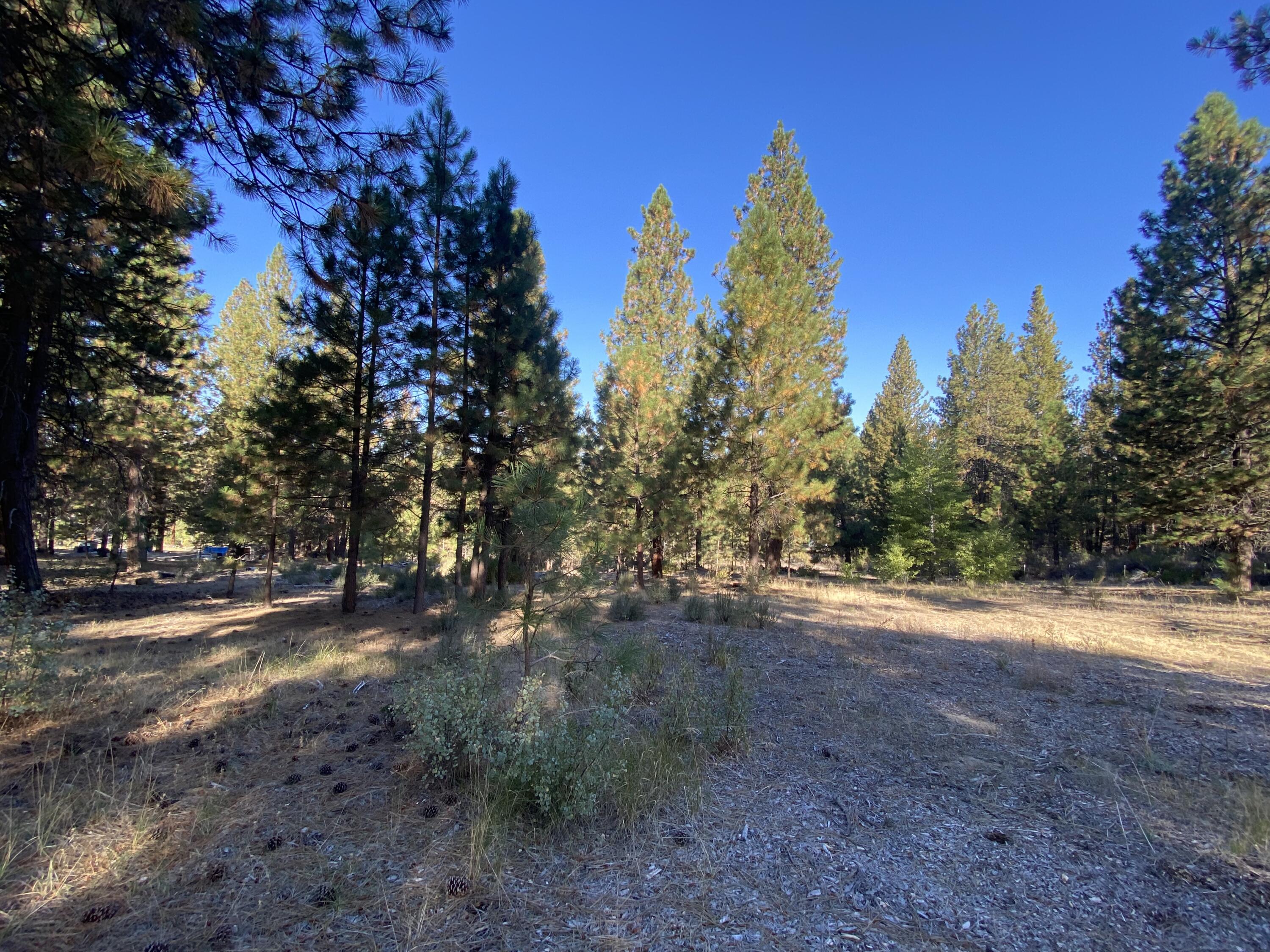 Winema Peninsula - Residential