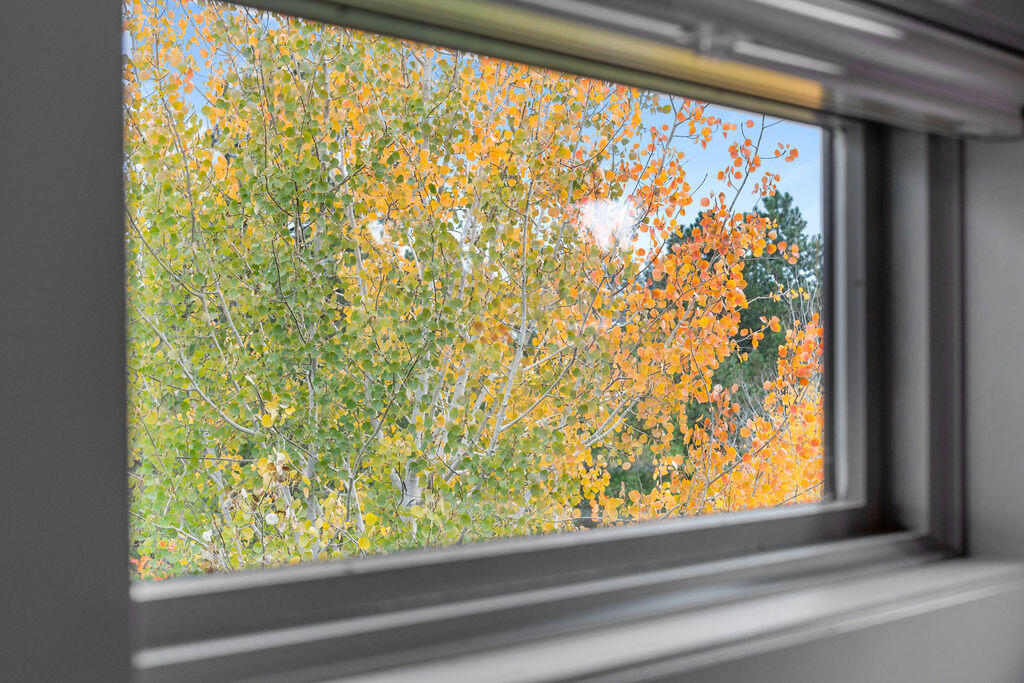 Three Pines - Residential