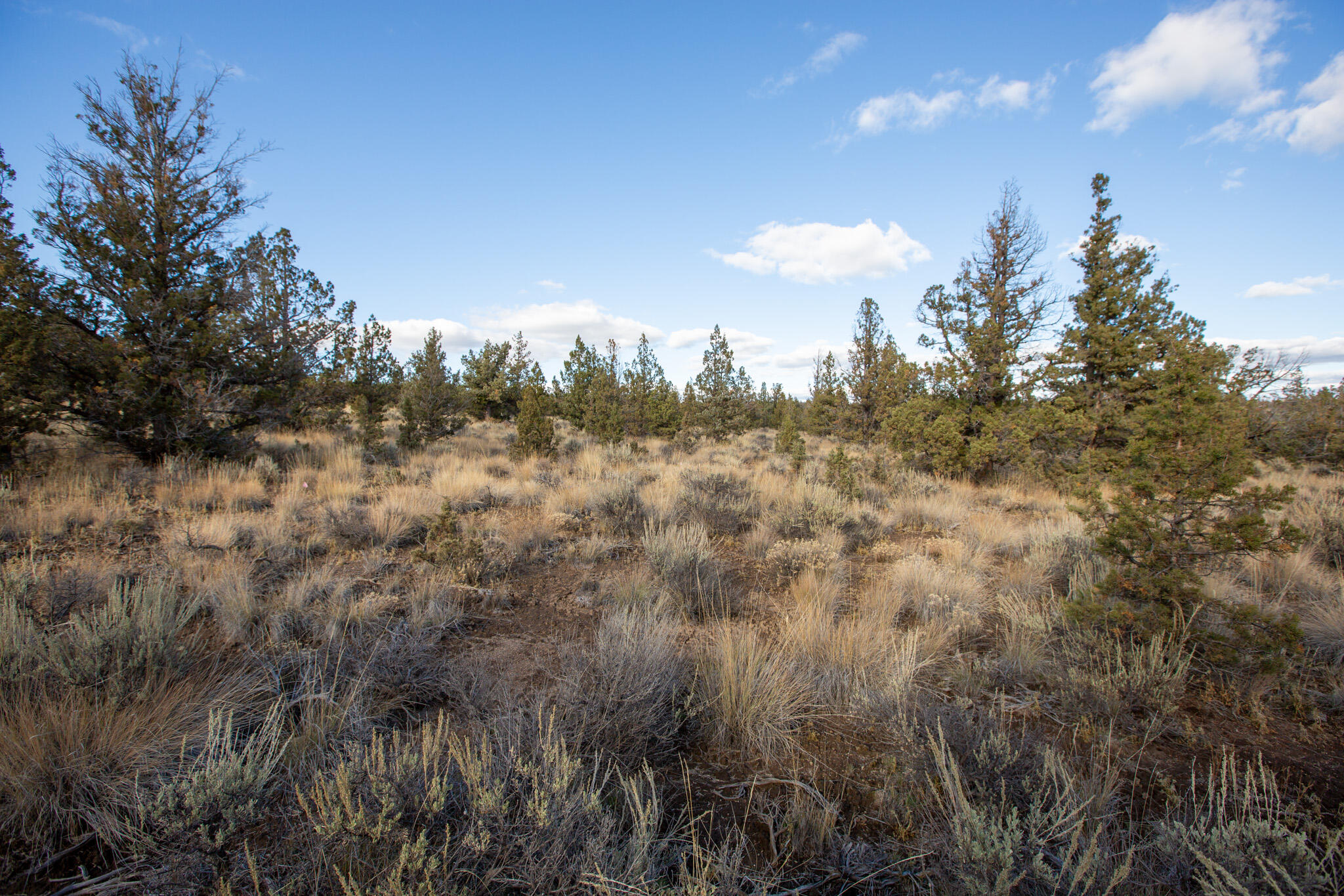 Longhorn Ridge - Land