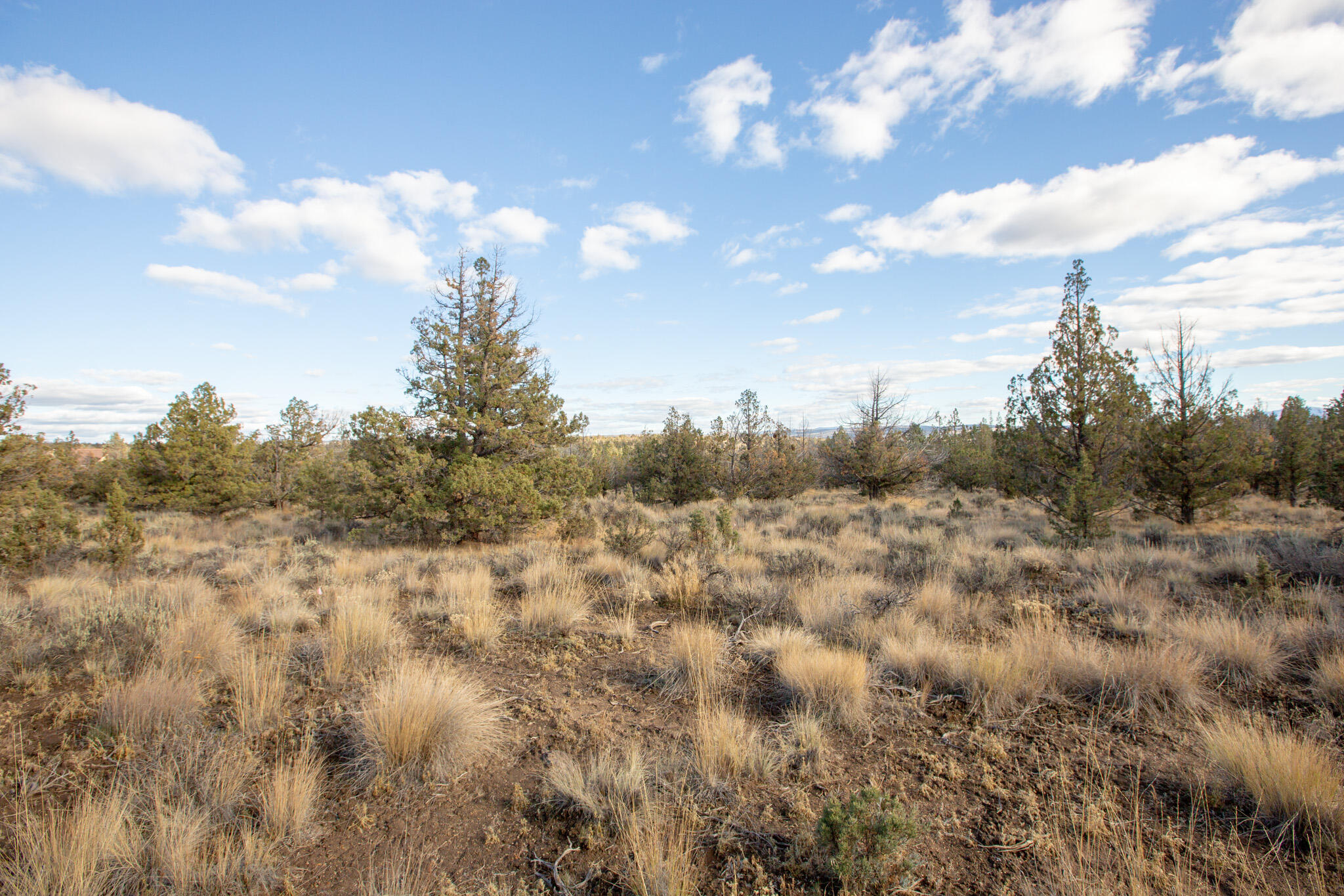 Longhorn Ridge - Land