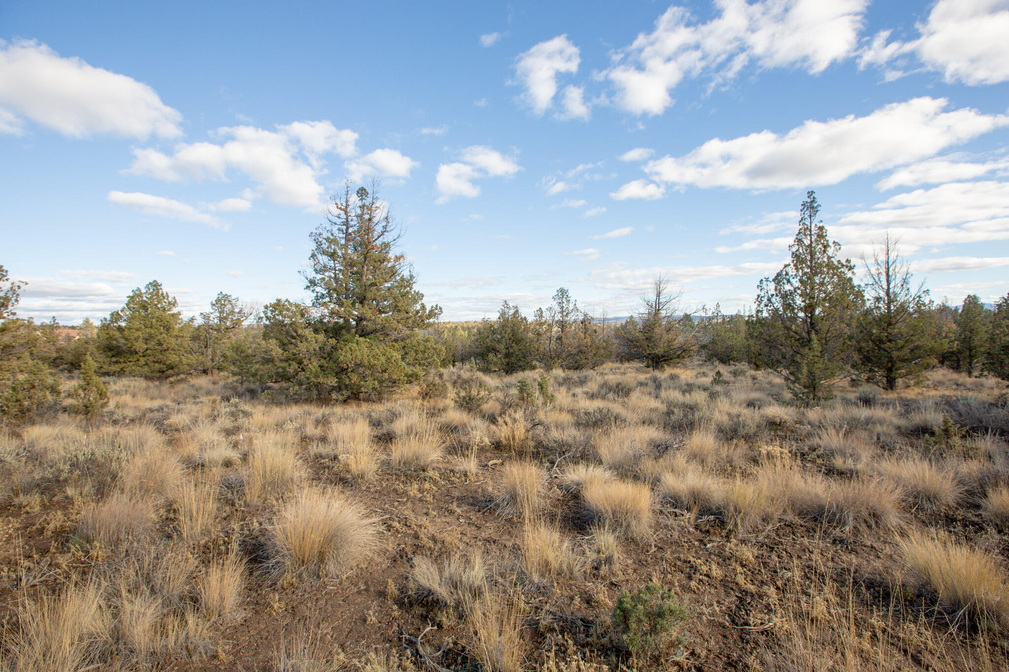 Longhorn Ridge - Land