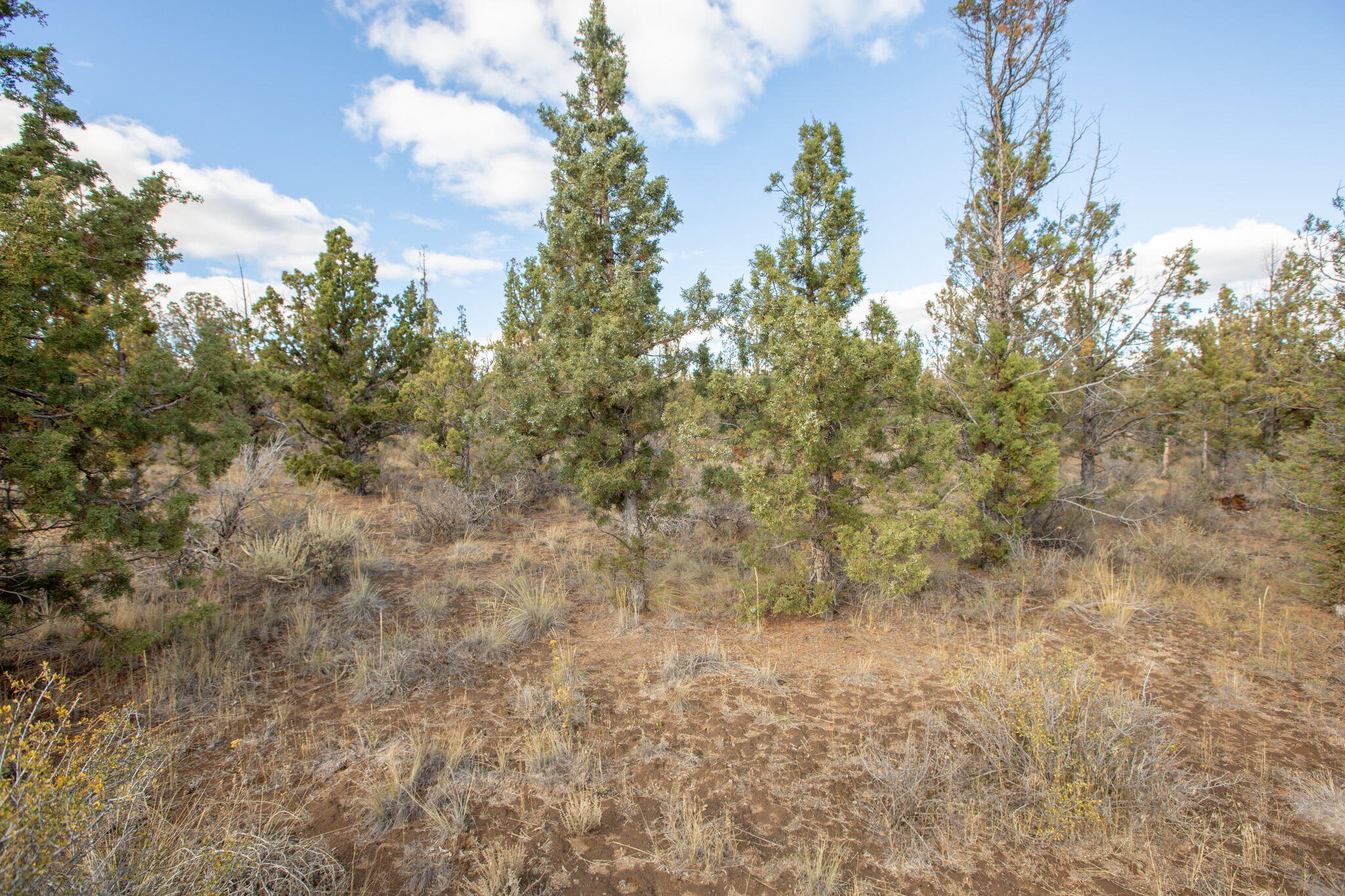 Longhorn Ridge - Land