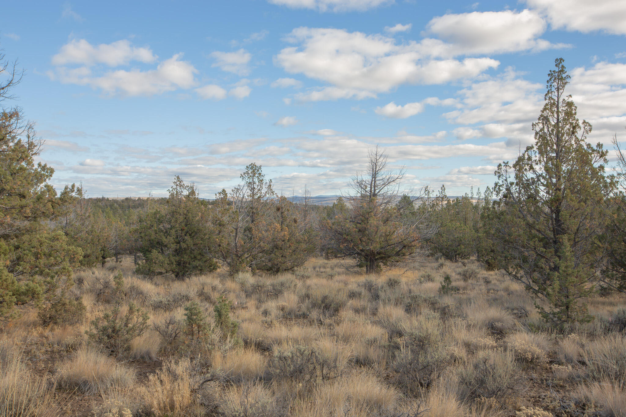 Longhorn Ridge - Land