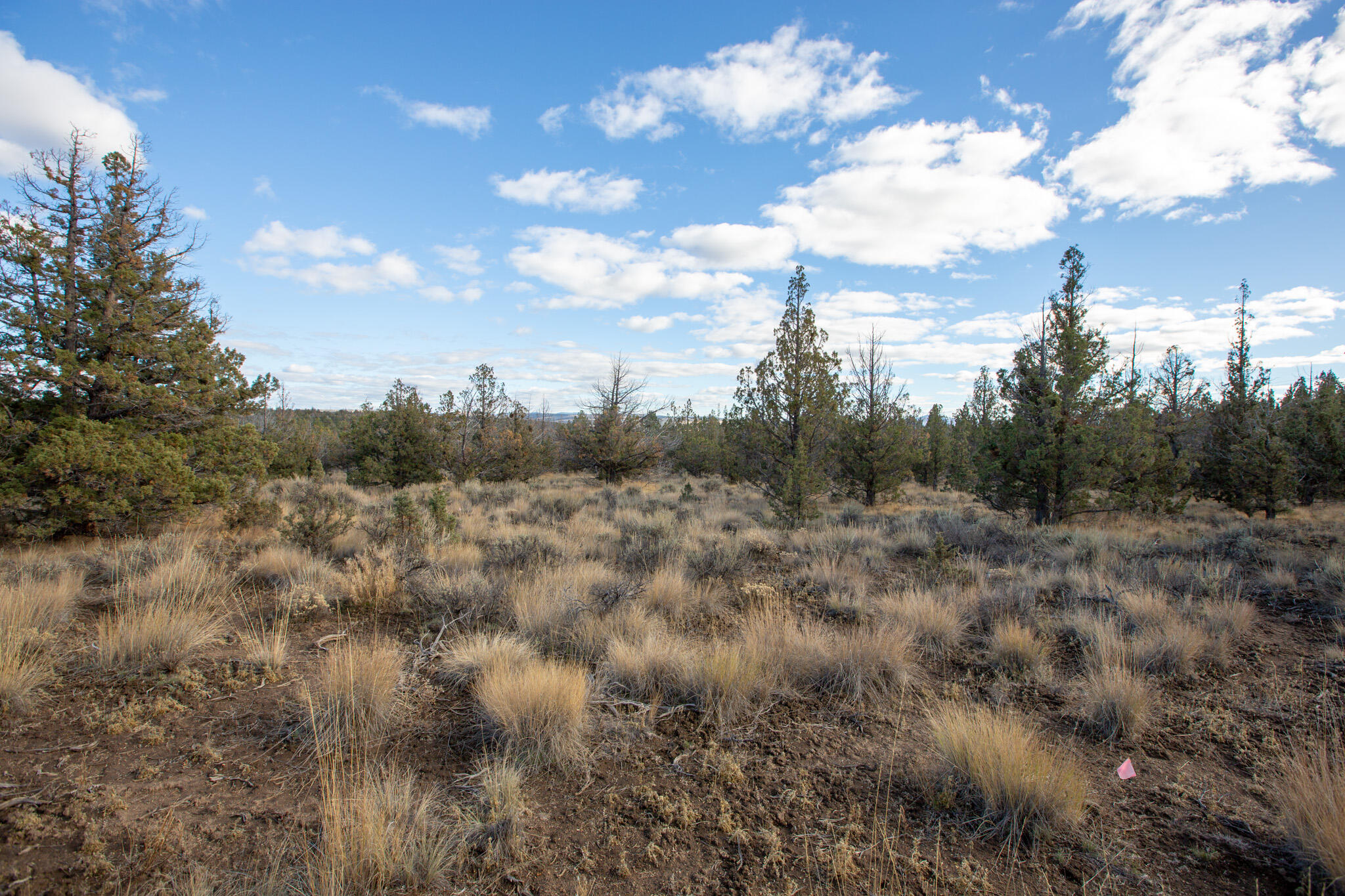 Longhorn Ridge - Land