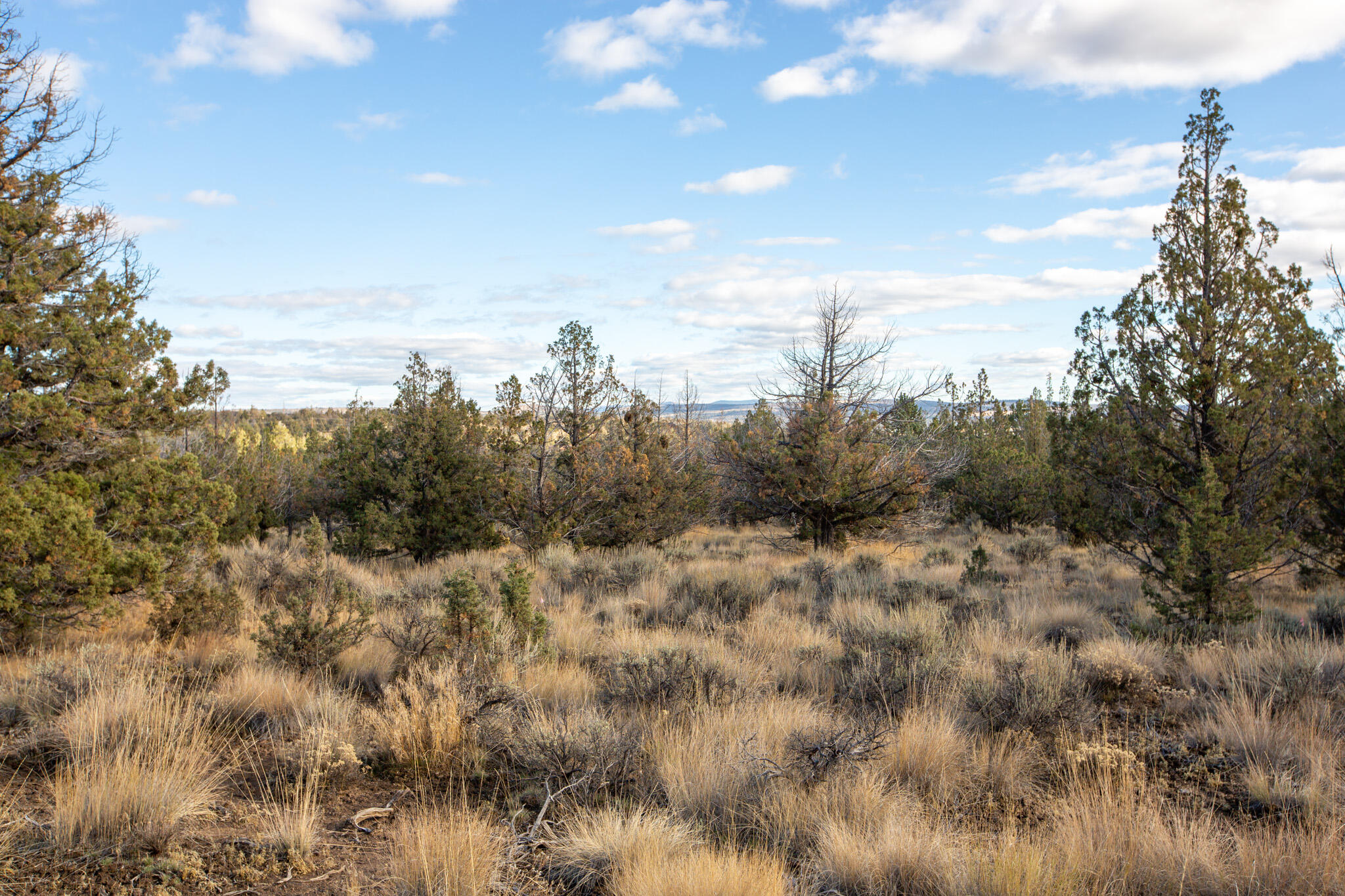 Longhorn Ridge - Land