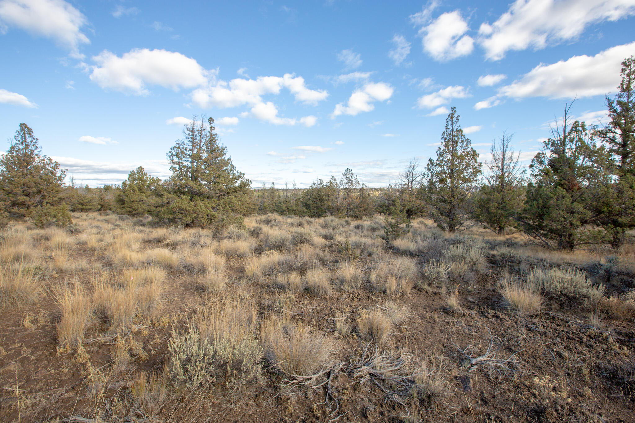 Longhorn Ridge - Land