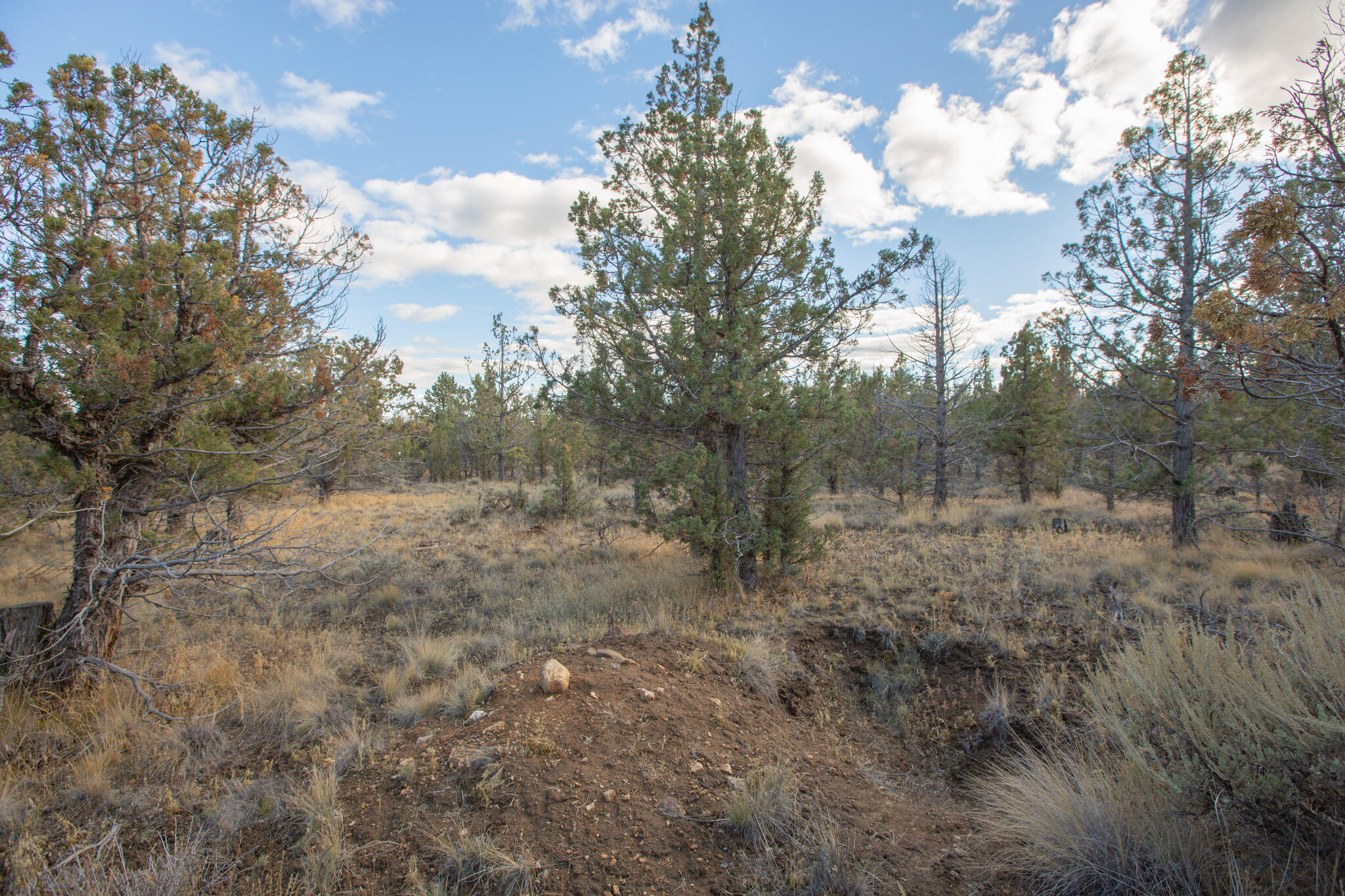 Longhorn Ridge - Land