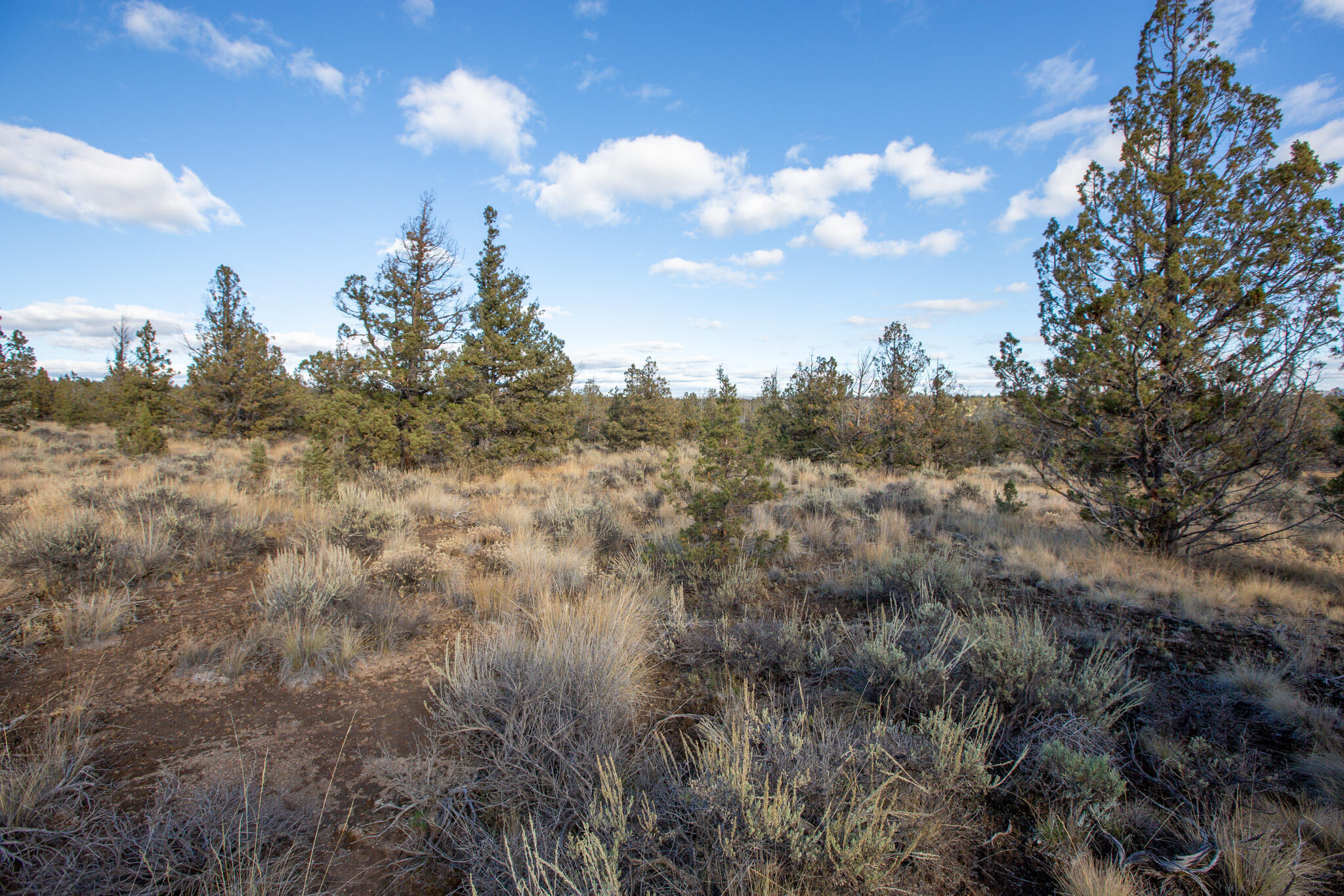 Longhorn Ridge - Land