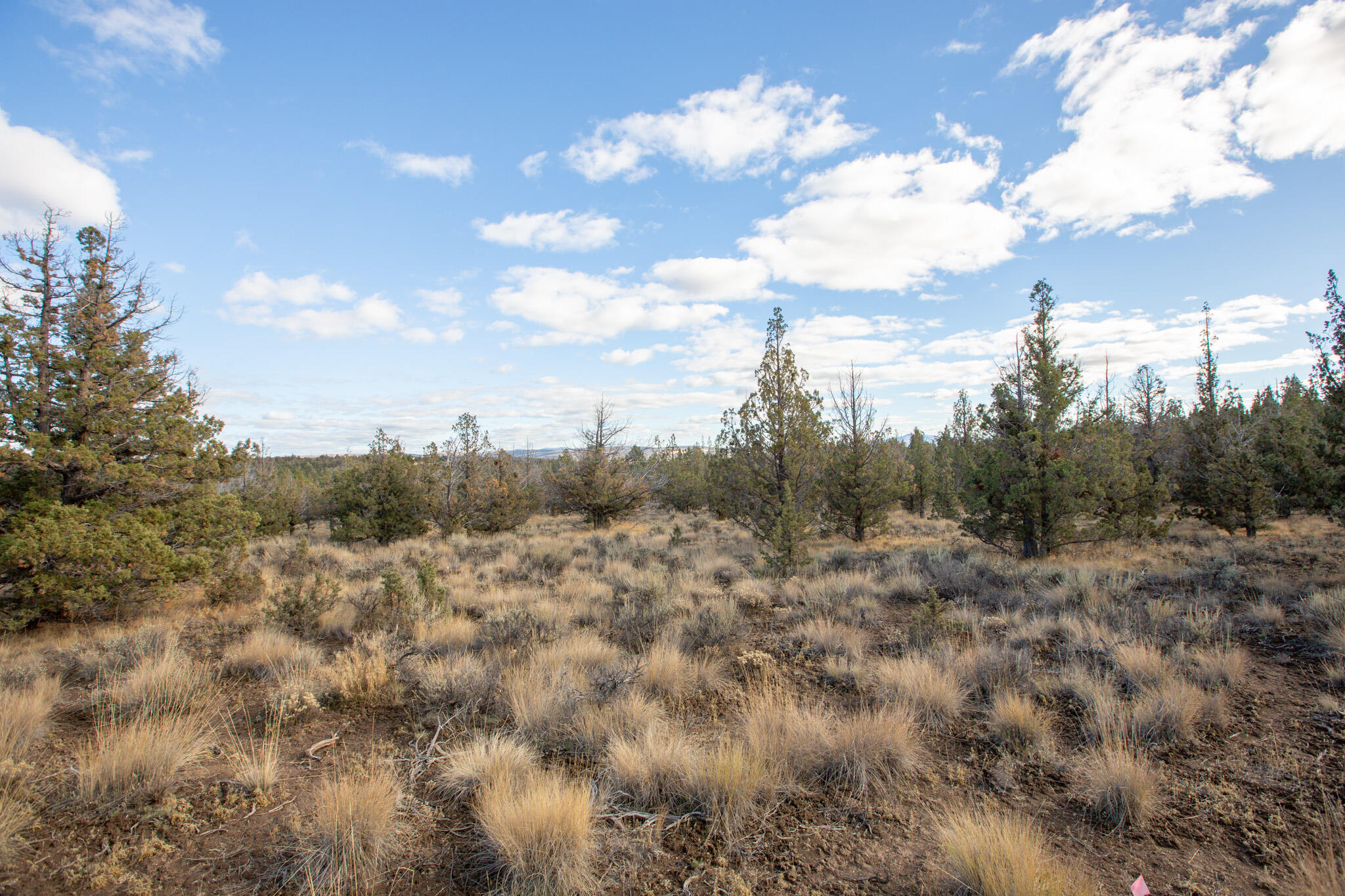 Longhorn Ridge - Land