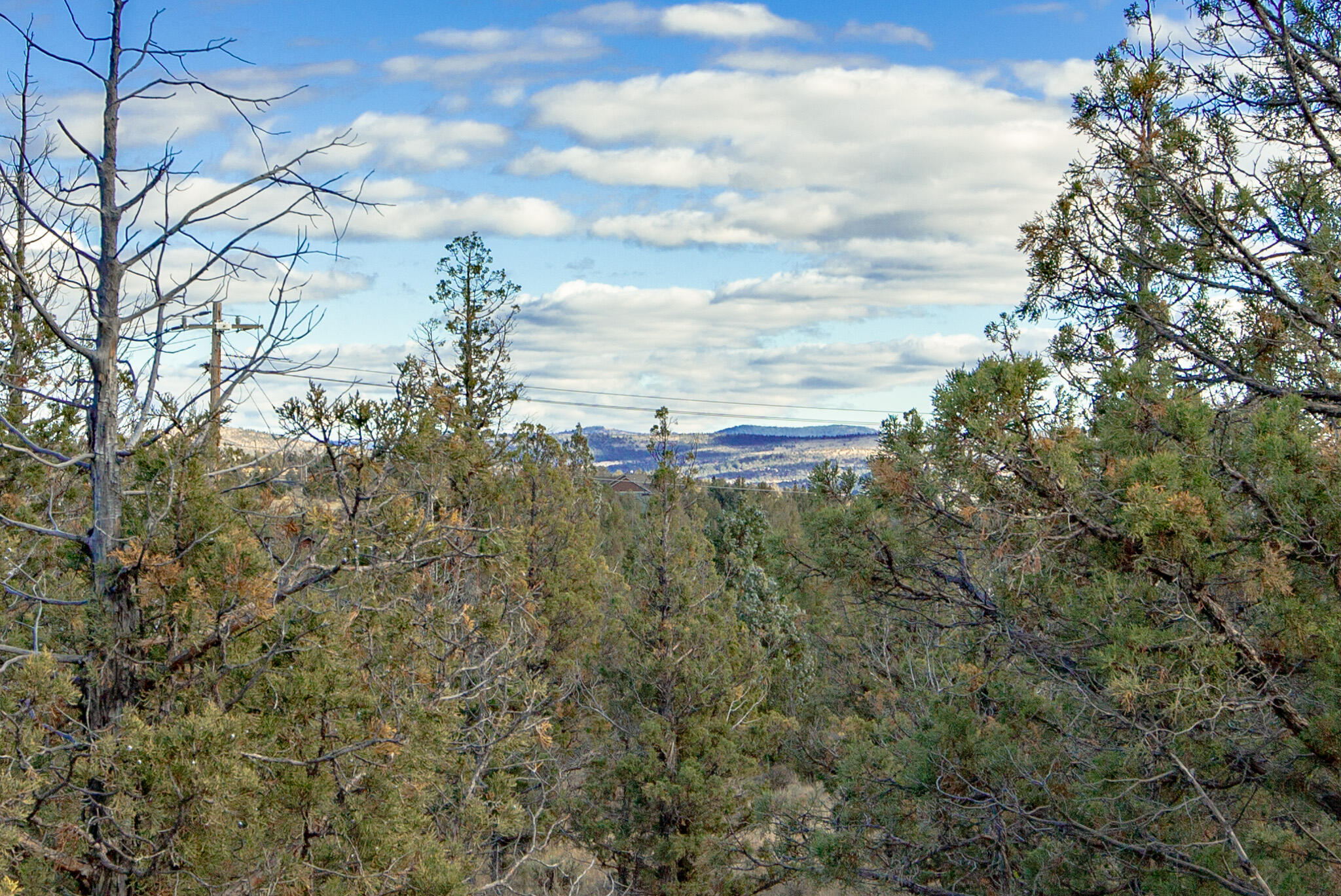 Longhorn Ridge - Land