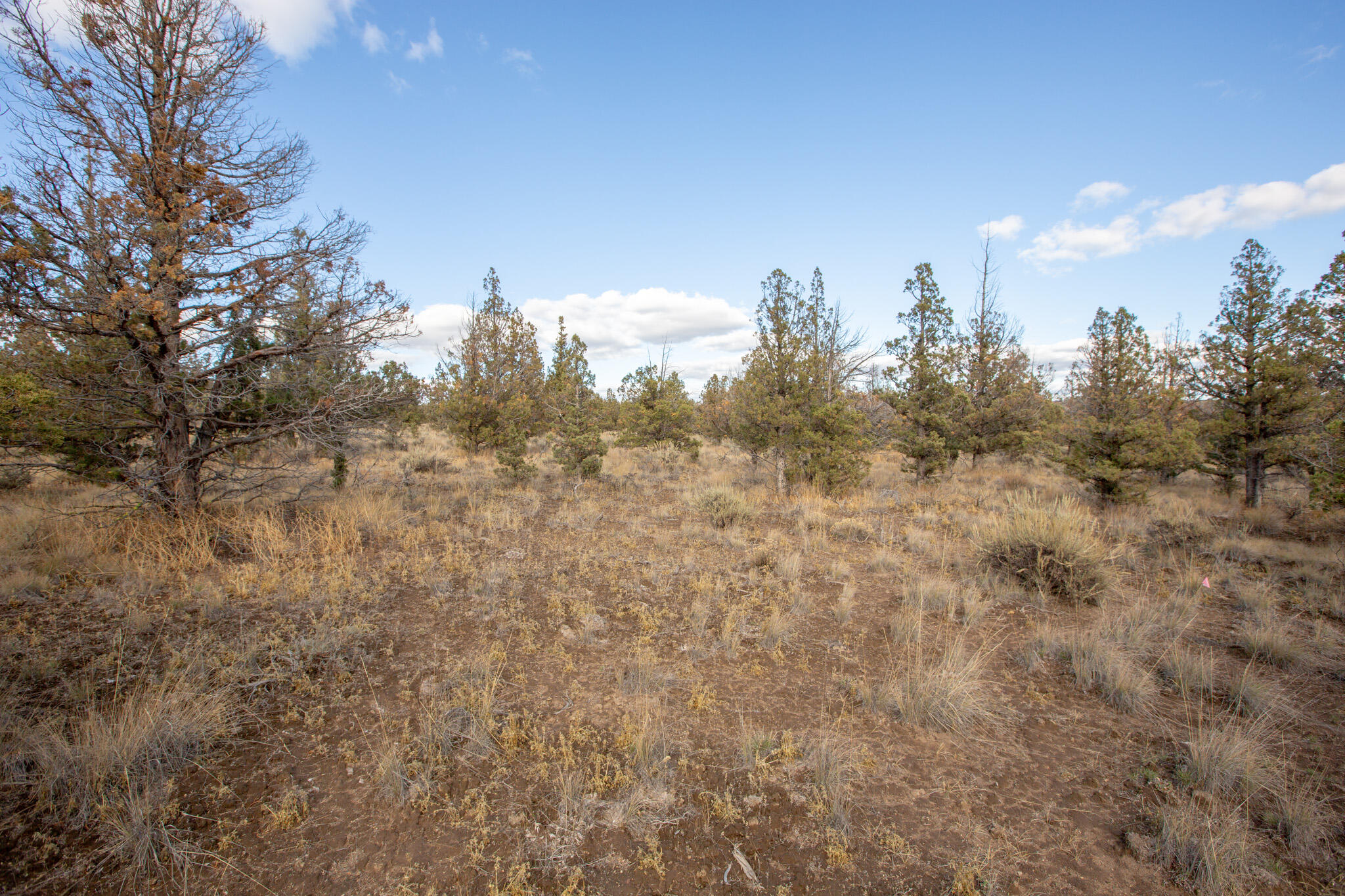 Longhorn Ridge - Land