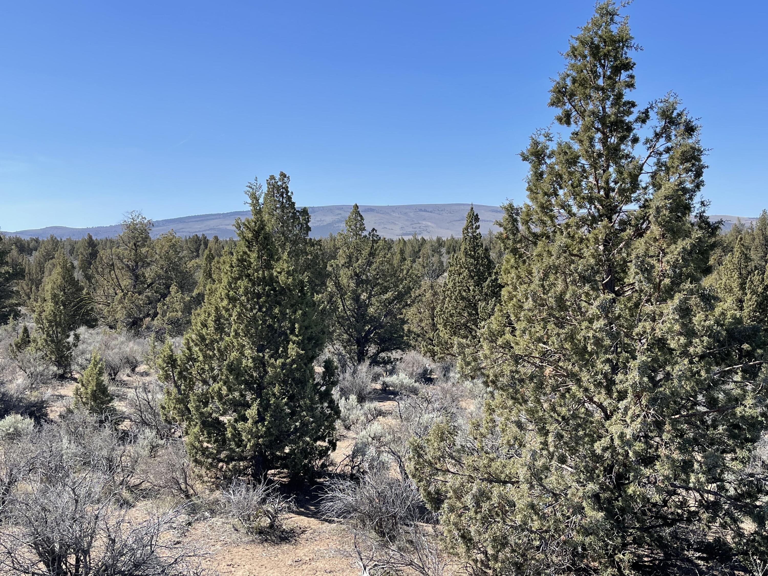 Juniper Acres - Land