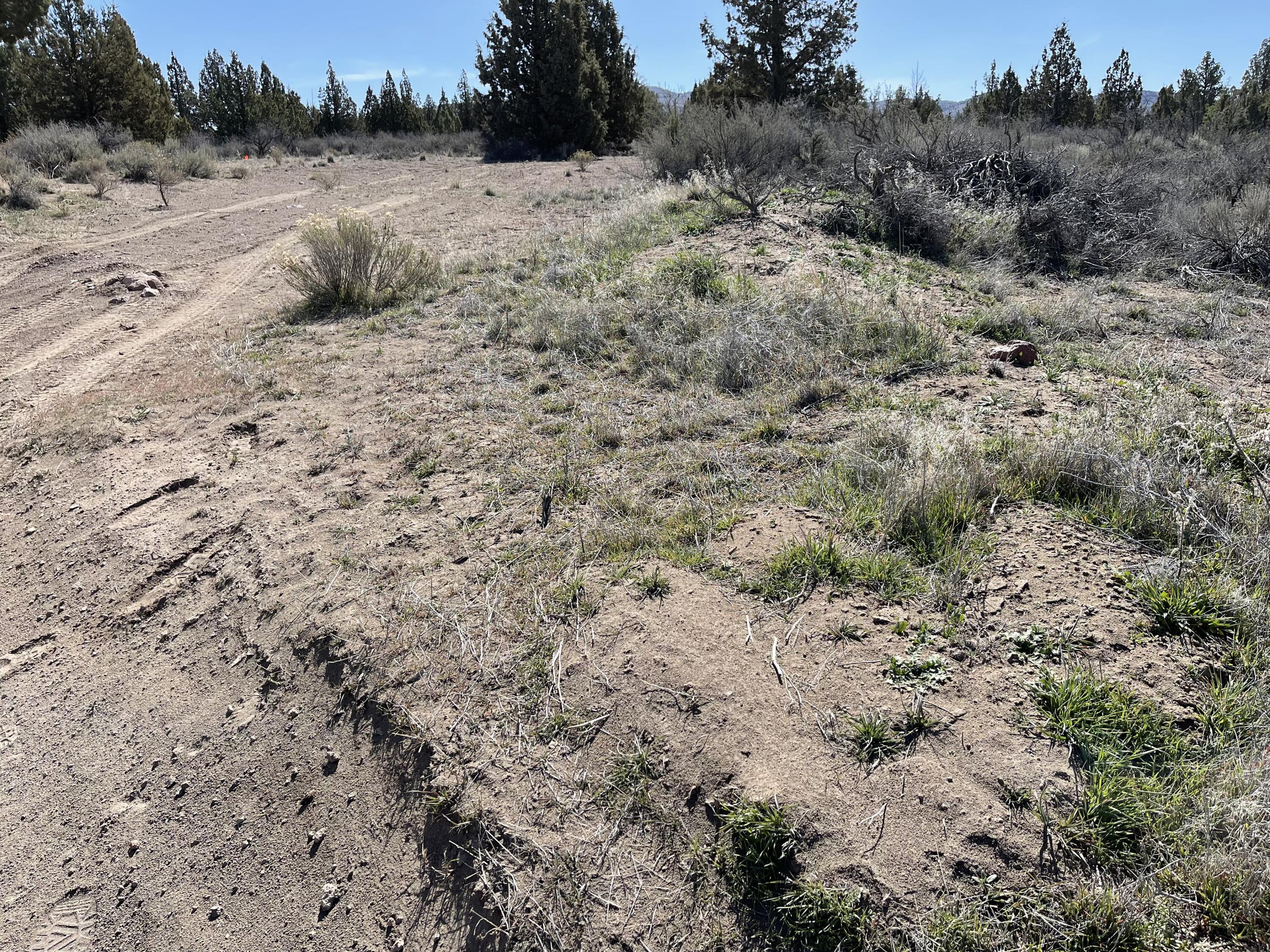 Juniper Acres - Land