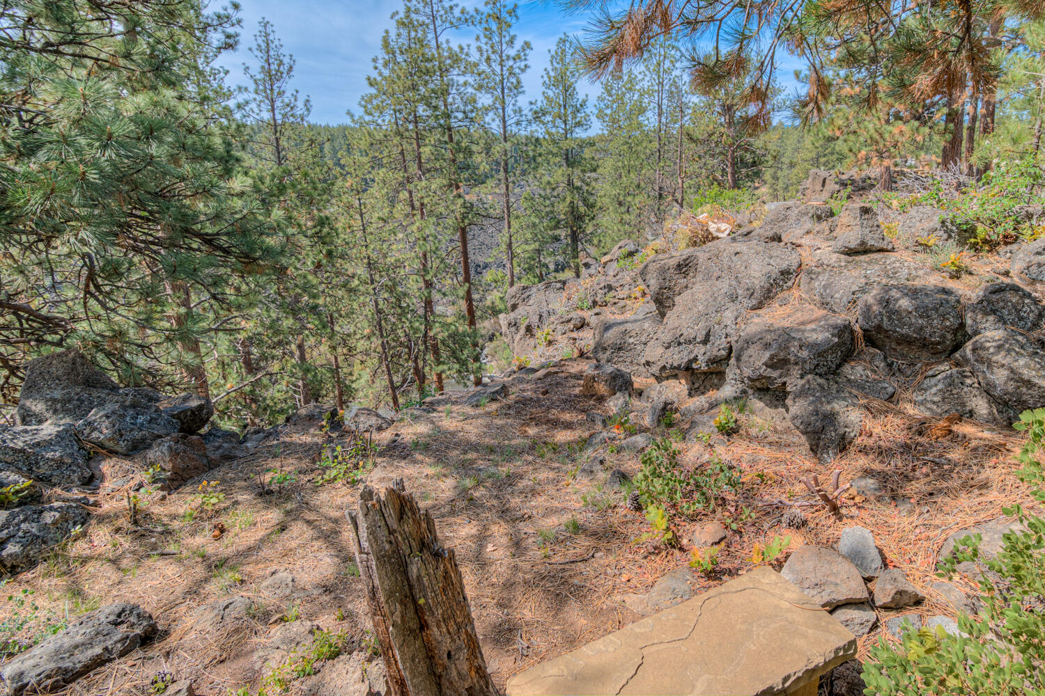 PointsWest - Residential