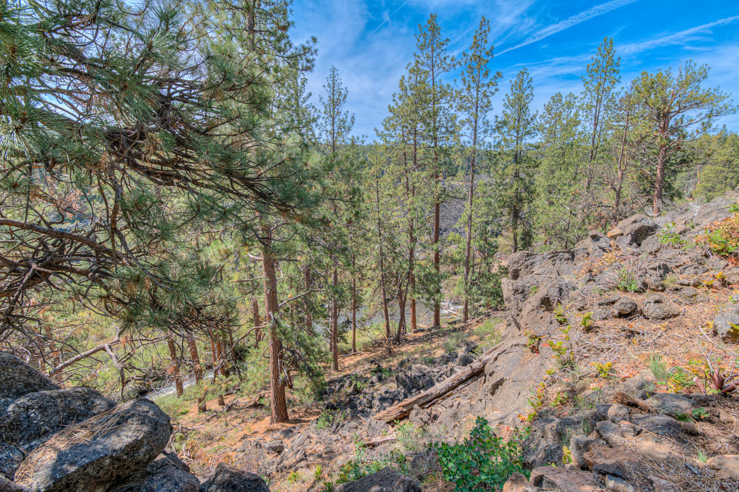 PointsWest - Residential