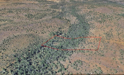 Tiny photo for SE TL 5201 Ochoco Land and Livest, Prineville, OR 97754 (MLS # 220224887)