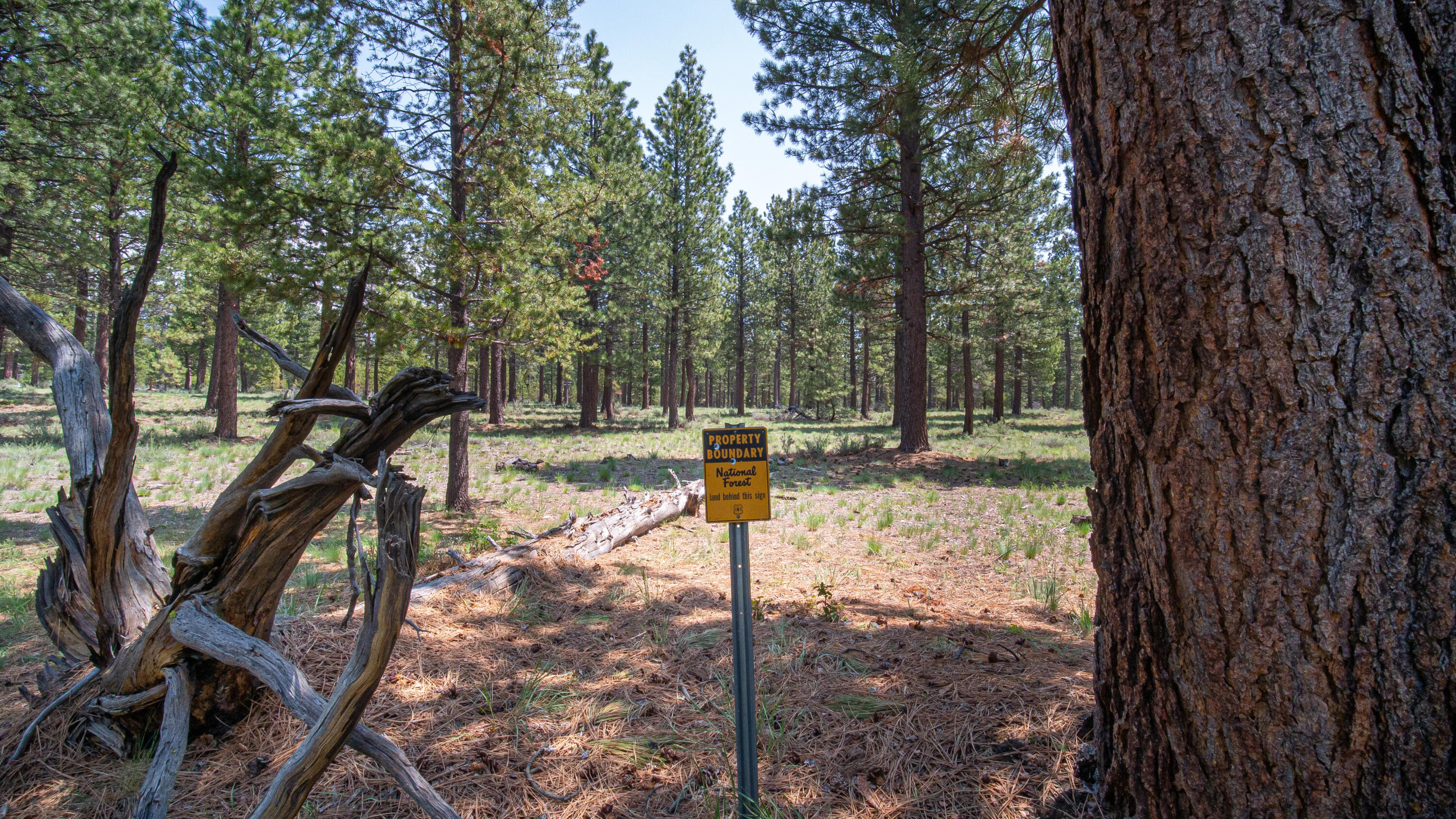 Fairway Point Villag - Residential