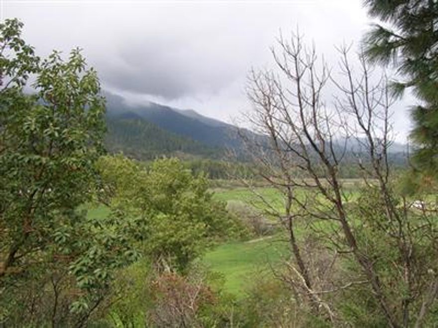 Views of the Applegate Valley and the Applegate river. Build your dream home overlooking green pastures and the Applegate river. Shared well, 15 gal per minute per well log. 4 bdrm septic w/1000 gal tank. Electric & phone on site.