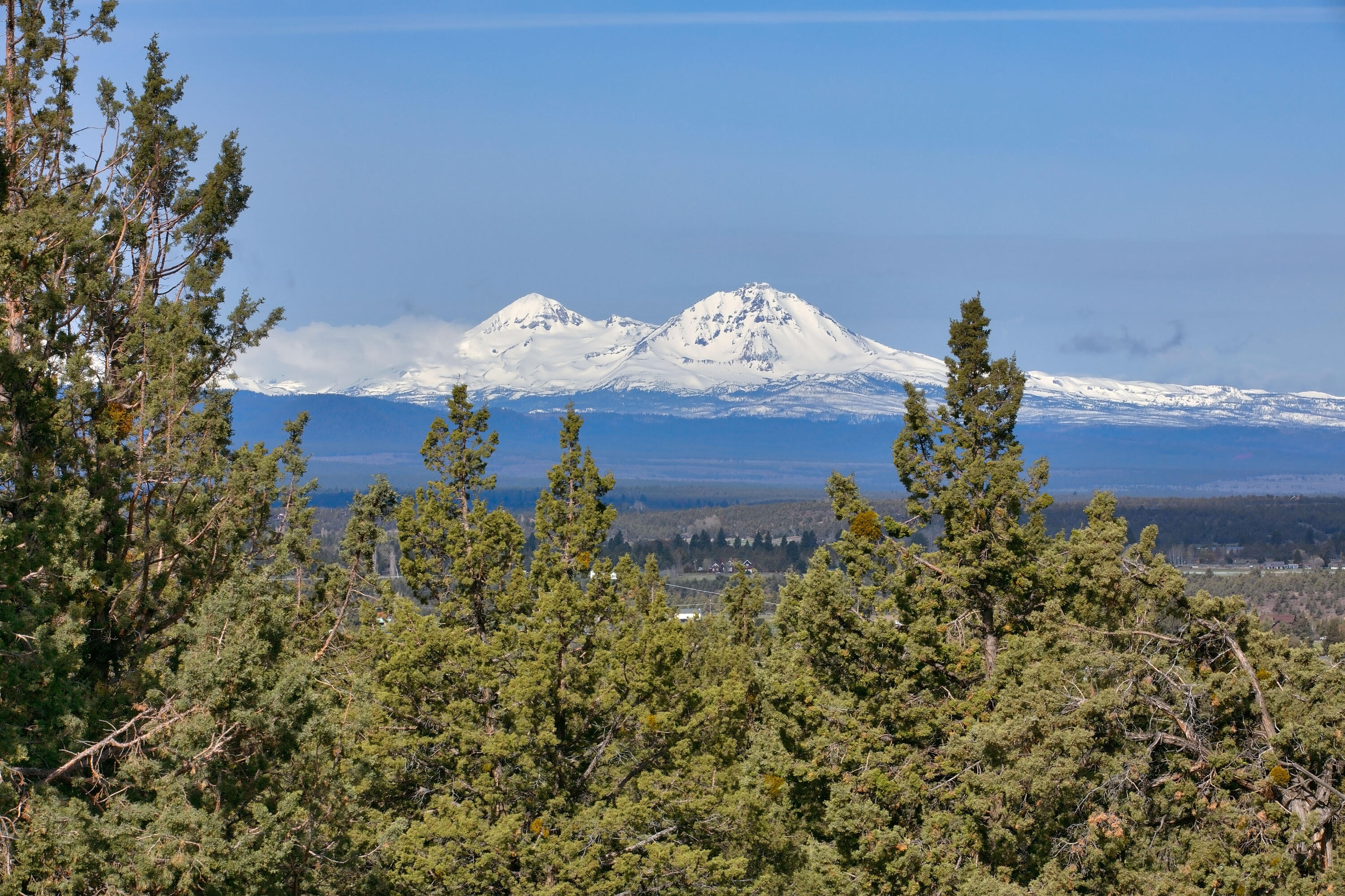 Whispering Pines - Residential