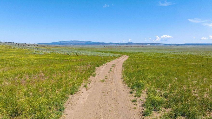 Welcome to a rare opportunity in Crane! 1,400 acres of prime, fully fenced rangeland with convenient access to State Highway 78. This expansive property is well-suited for livestock, boasting two reliable wells — one solar-powered and one connected to the electric grid.

Blanketed with native sagebrush and hardy grasses, the landscape is a natural haven for cattle and wildlife alike. Whether you're looking to run livestock, build your dream homestead, ranch headquarters, or shop, or simply secure a smart real estate investment in the high desert, this property checks all the boxes.

Opportunities like this don't last long. Call us today to schedule your private tour of this incredible 1,400-acre homestead!