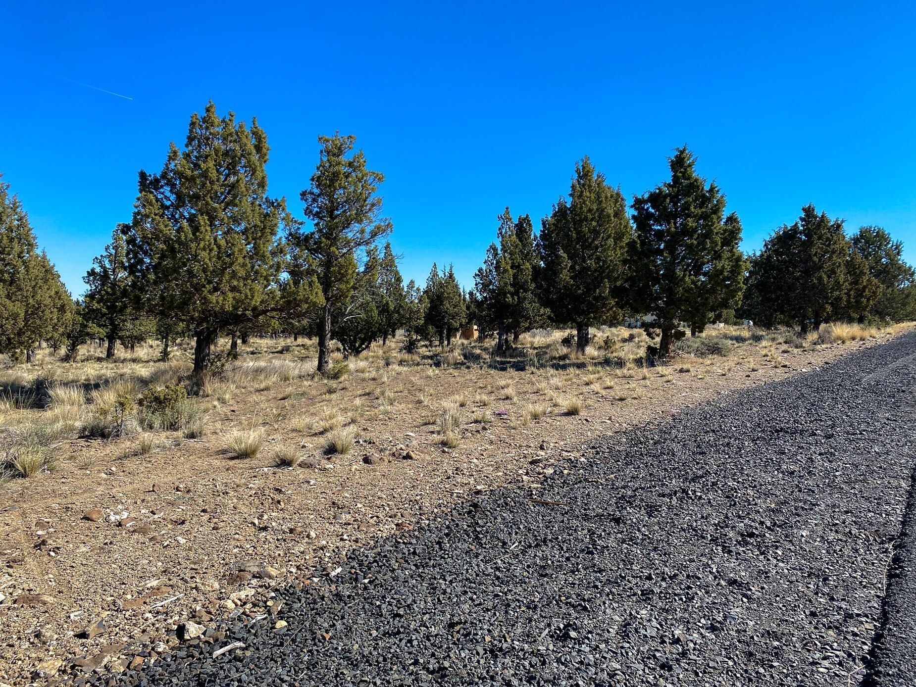 High Desert Estate - Residential