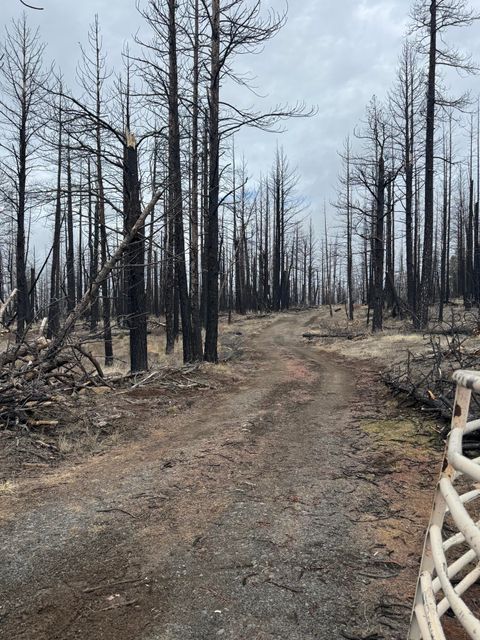 1100 Yellow Pine Road Bly OR 97622