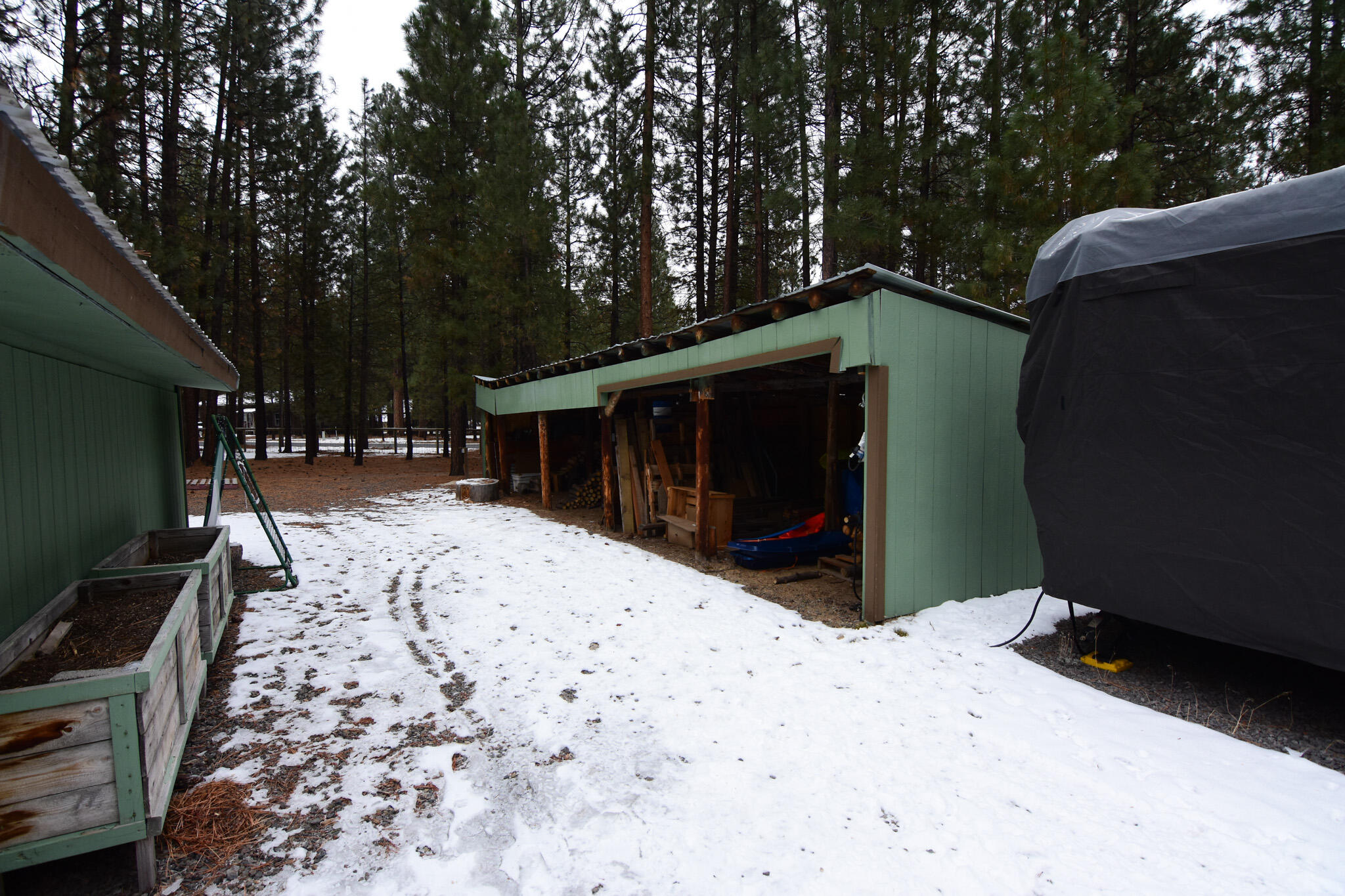 Ponderosa Pines - Residential