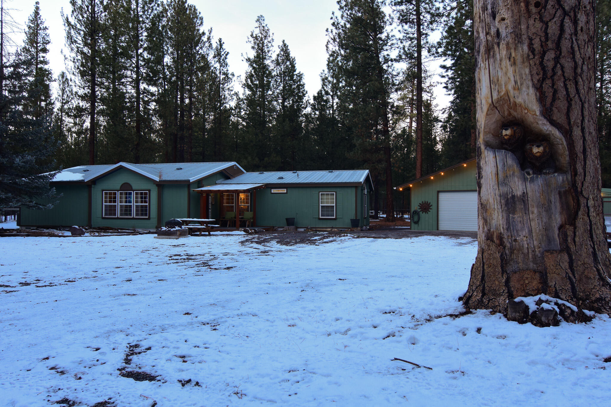 Ponderosa Pines - Residential