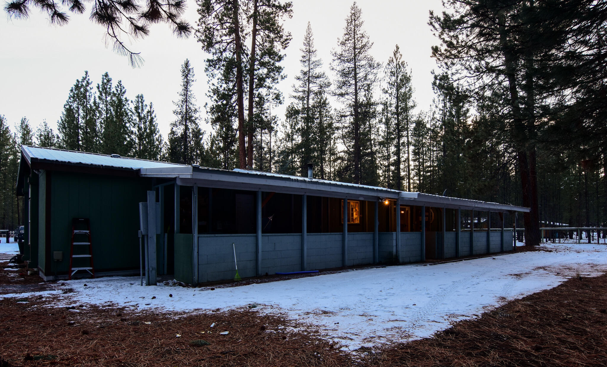 Ponderosa Pines - Residential