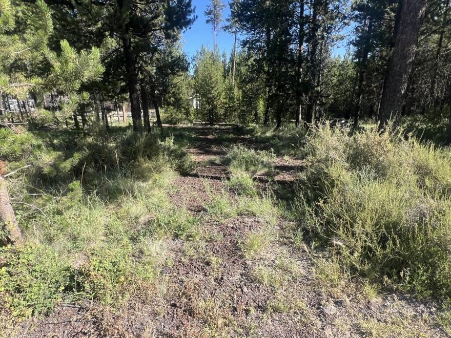 This lot is just minutes from the Big Deschutes river access, Sunriver, Mt Bachelor and the High Cascade Lakes. Come see what this .58 lot has to offer, large mature pine trees with an old gravel driveway that is over grown. There is an electrical base to the property. Power will need to be reinstalled, call Mid-State electric for details. This is a recreational lot only as it did not pass the septic feasibility test with Deschutes Co. Deschutes county will allow up to a 2000 sq. ft shop to be built on this property with power and a well just no septic system. Come and enjoy what Central Oregon has to offer.