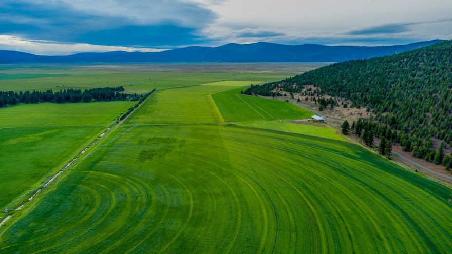 Farm with wells in Swan Lake-- 420 acres near Dairy, Oregon with private well and shared well.  +/- 250 acres of farmable ground with water rights and 170 acres of timbered land with mule deer and antelope hunting and habitat.
    
2100 SF 3 bed/2 bath home, new domestic well, 45 x 120 x 22 pole hay barn, 9 tower pivot, buried mainline, 4 wheel lines, flood irrigation and new stock water well. 

Currently growing organic Alfalfa and orchard grass.