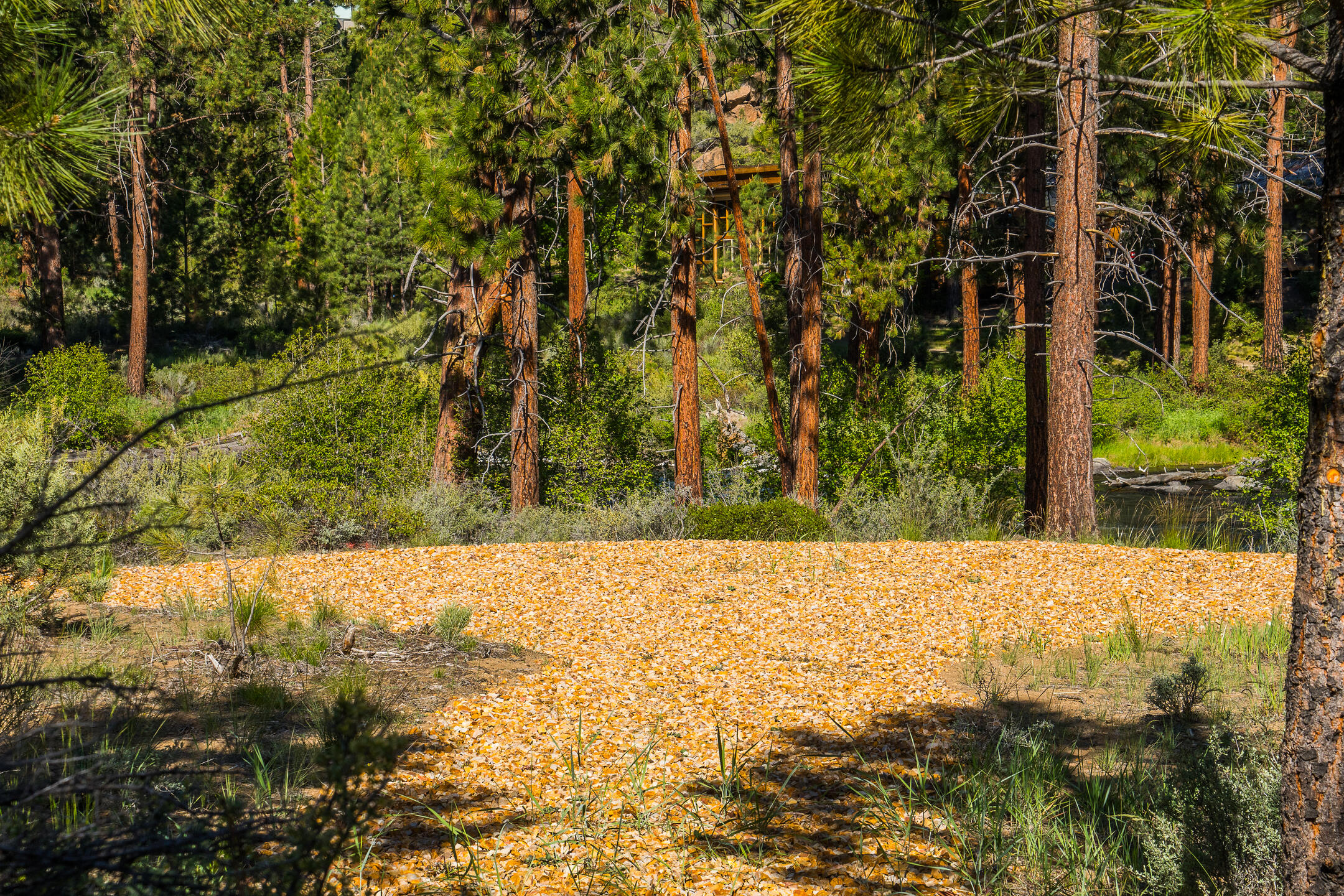 River Vale - Residential