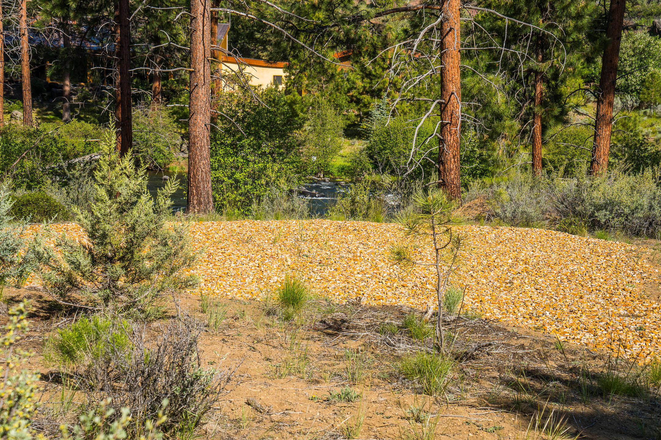 River Vale - Residential