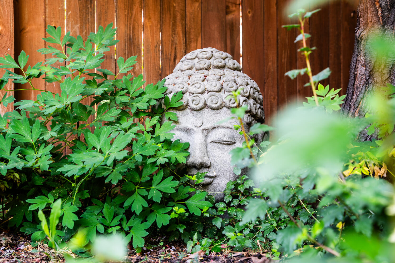 West Bend Village - Residential