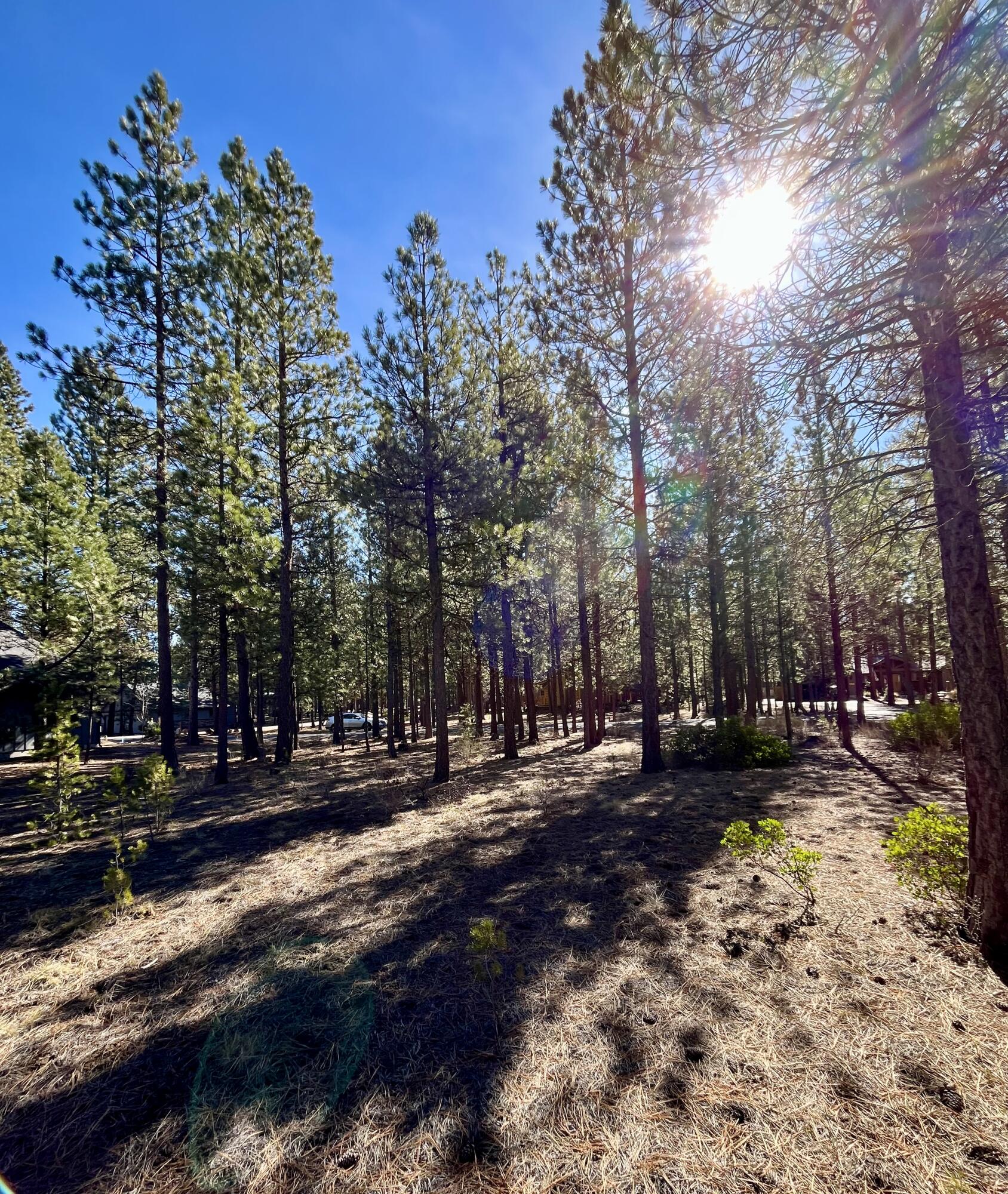 14165 Whitewater Loop