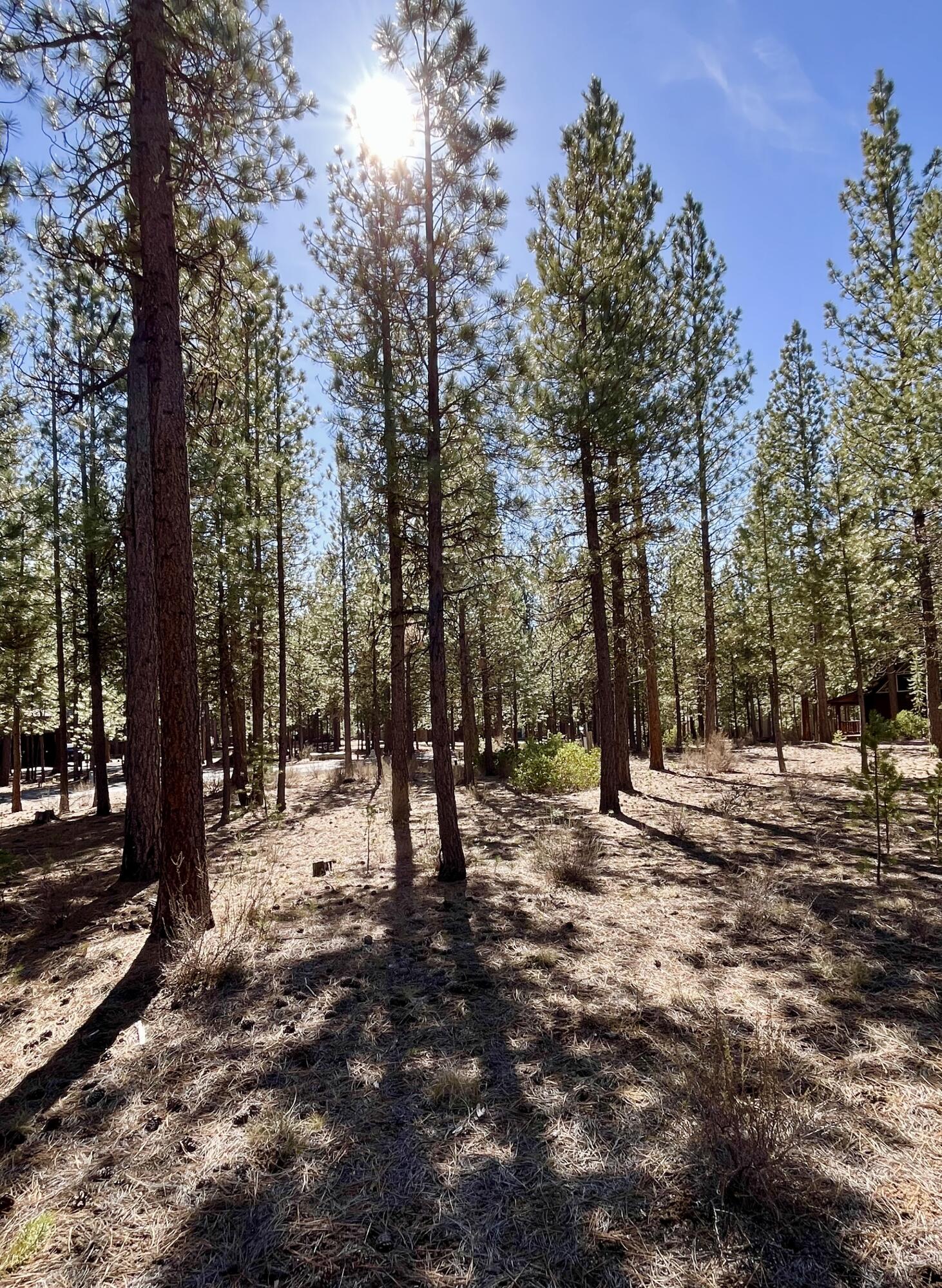 14165 Whitewater Loop