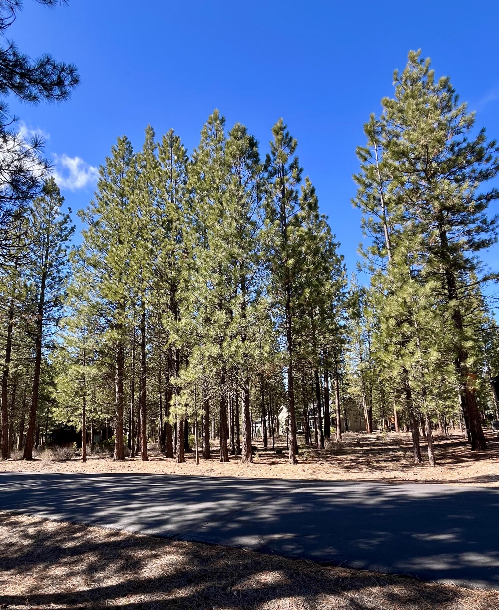 14165 Whitewater Loop