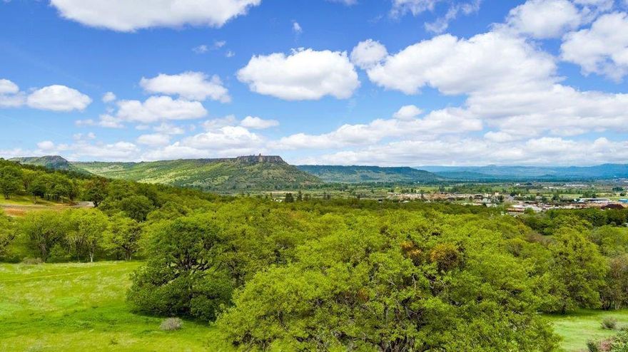 Potential for vineyard, hay, horses, whatever your heart desires. The Millionaire Mine that has been vacated and filled with water for many years is waiting for adventure. Just think of all the possibilities. Fascinating articles and information on the history of this property are on file. Mineral Rights are reserved. All of this listing is located on the South side of I-5, between I-5 and Old Stage Rd. See Jackson County Lawful Lot Determination, Type 2 Land Use Review.  Jackson County Assessor still processing.  Access Nellis Rd off Tolo Road.  Property sold as-is.