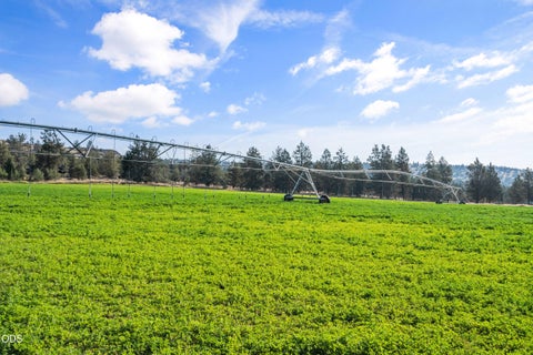 Tiny photo for 1130 Bly Mountain Cutoff Road, Bonanza, OR 97623 (MLS # 220229852)