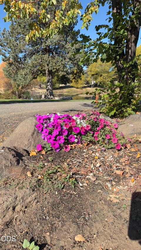 Tiny photo for 1130 Bly Mountain Cutoff Road, Bonanza, OR 97623 (MLS # 220229852)