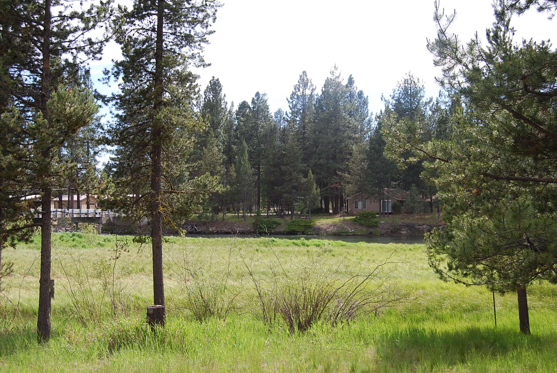 16245 Bear Lane